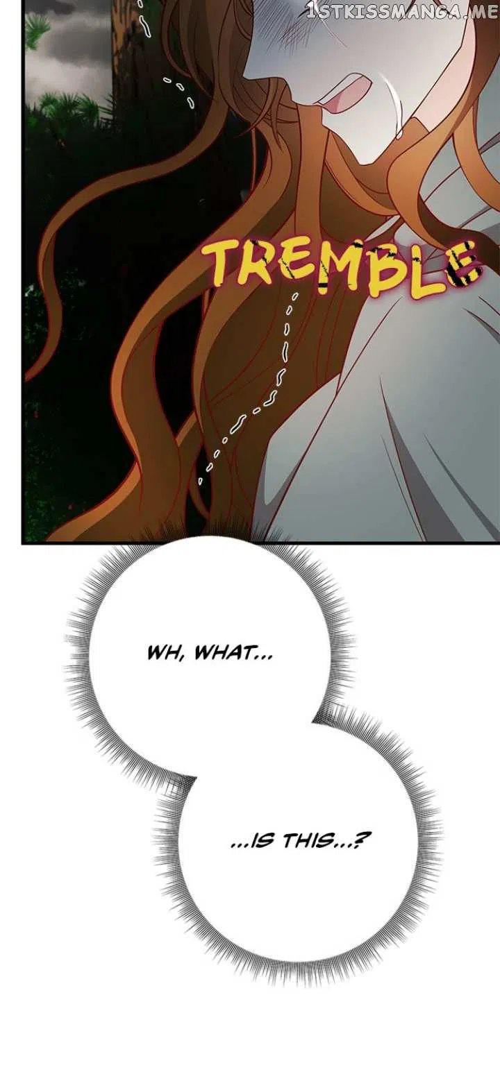 The Secret Life Of A Certain Count’S Lady Chapter 35