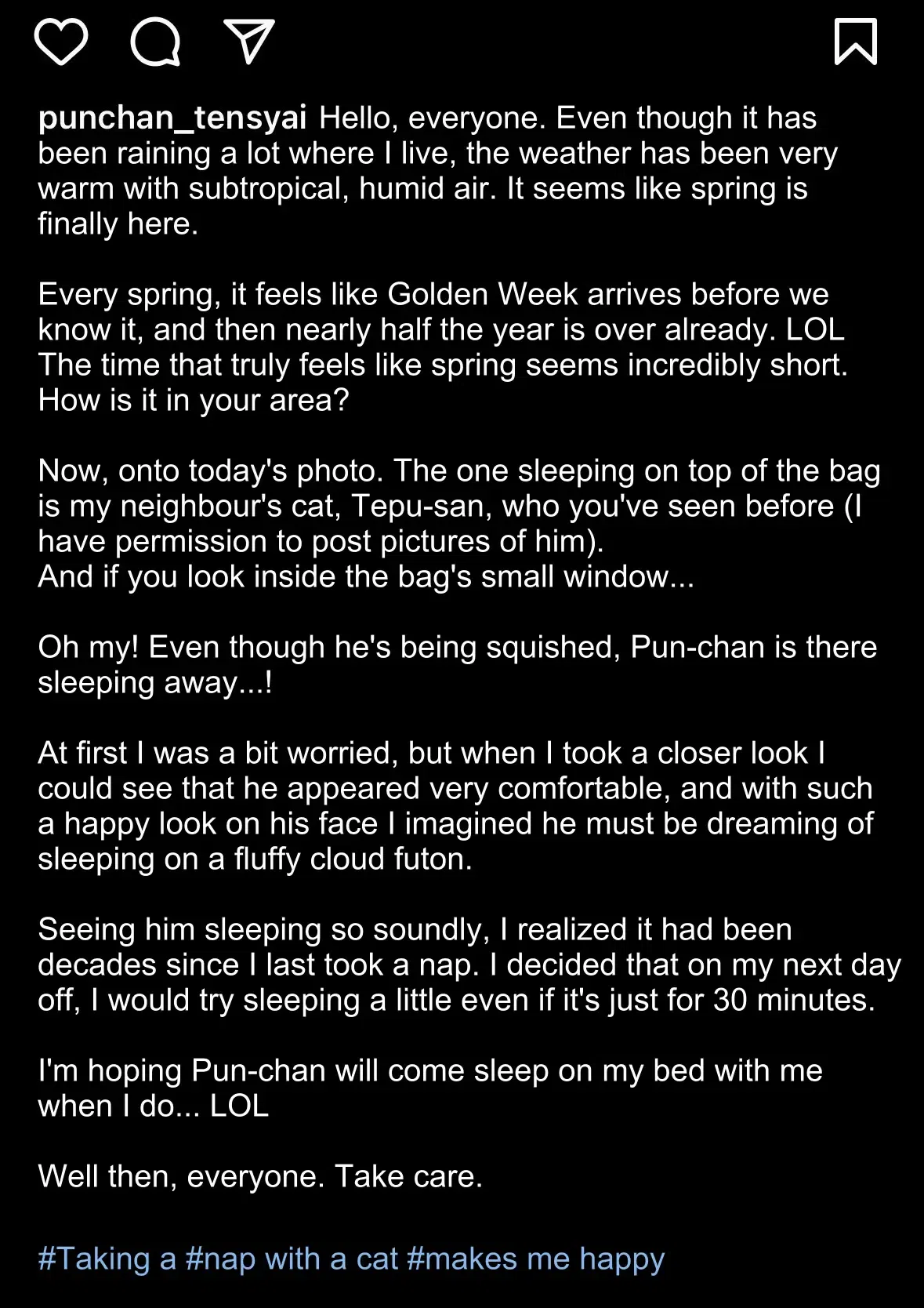 The Old Man Who Was Reincarnated As A Cat Chapter 413.5: President