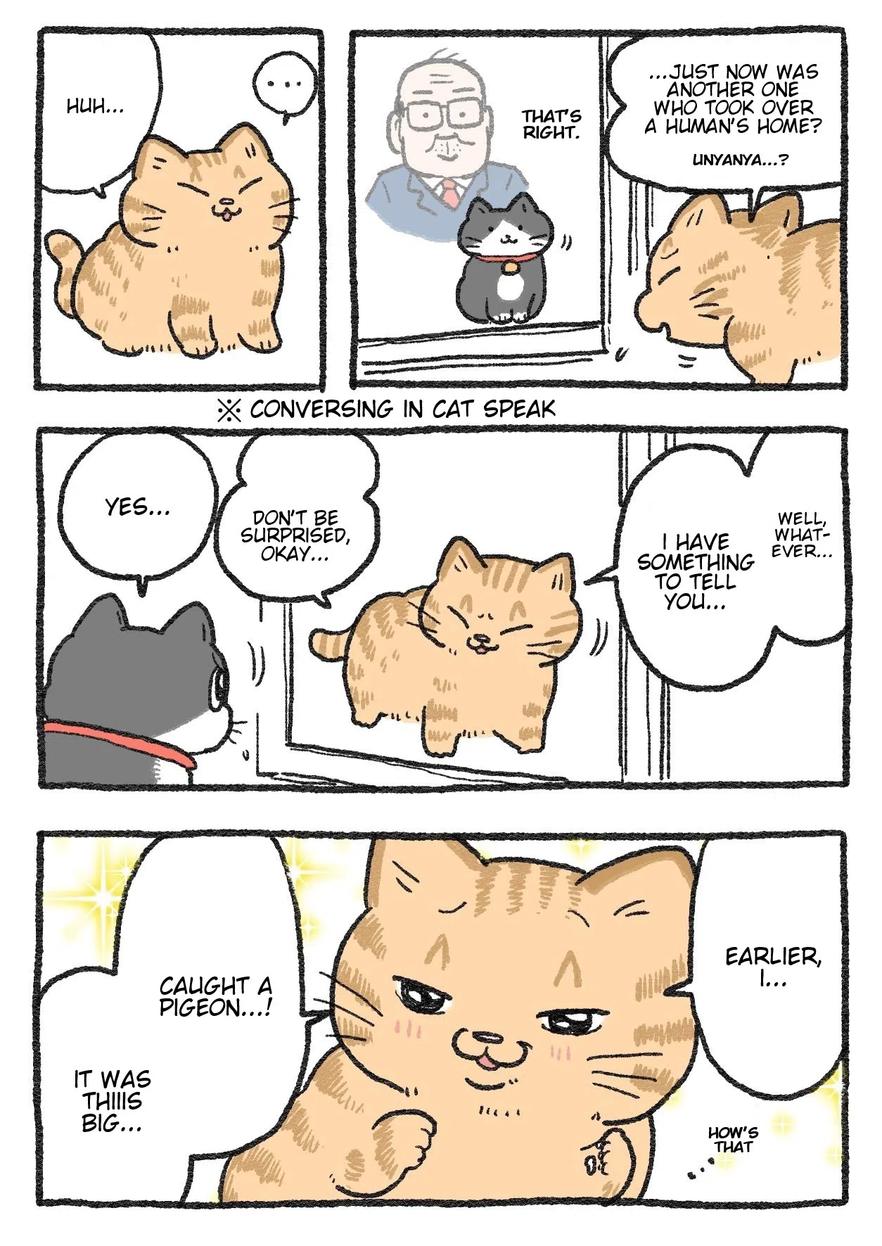 The Old Man Who Was Reincarnated As A Cat Chapter 252
