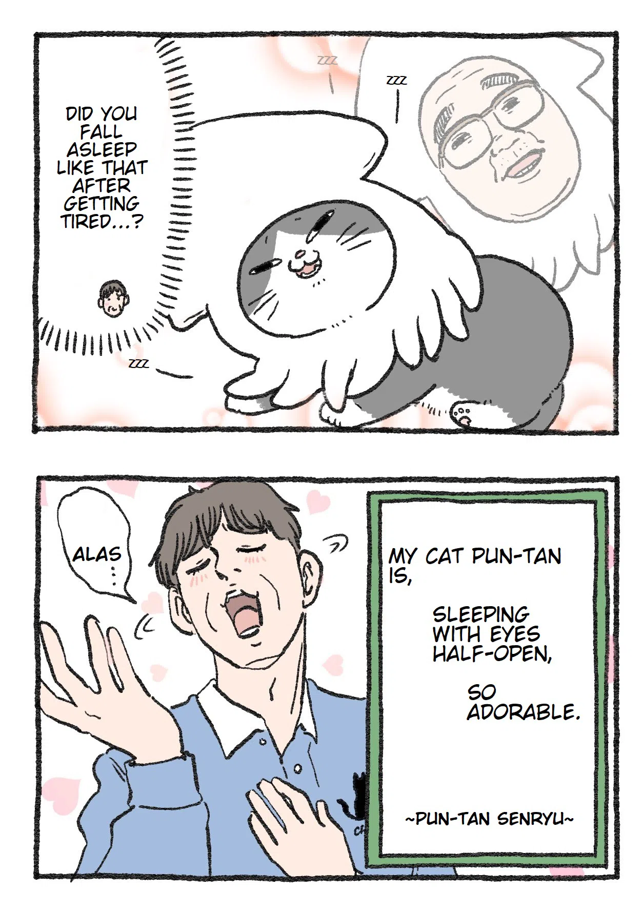 The Old Man Who Was Reincarnated As A Cat Chapter 113