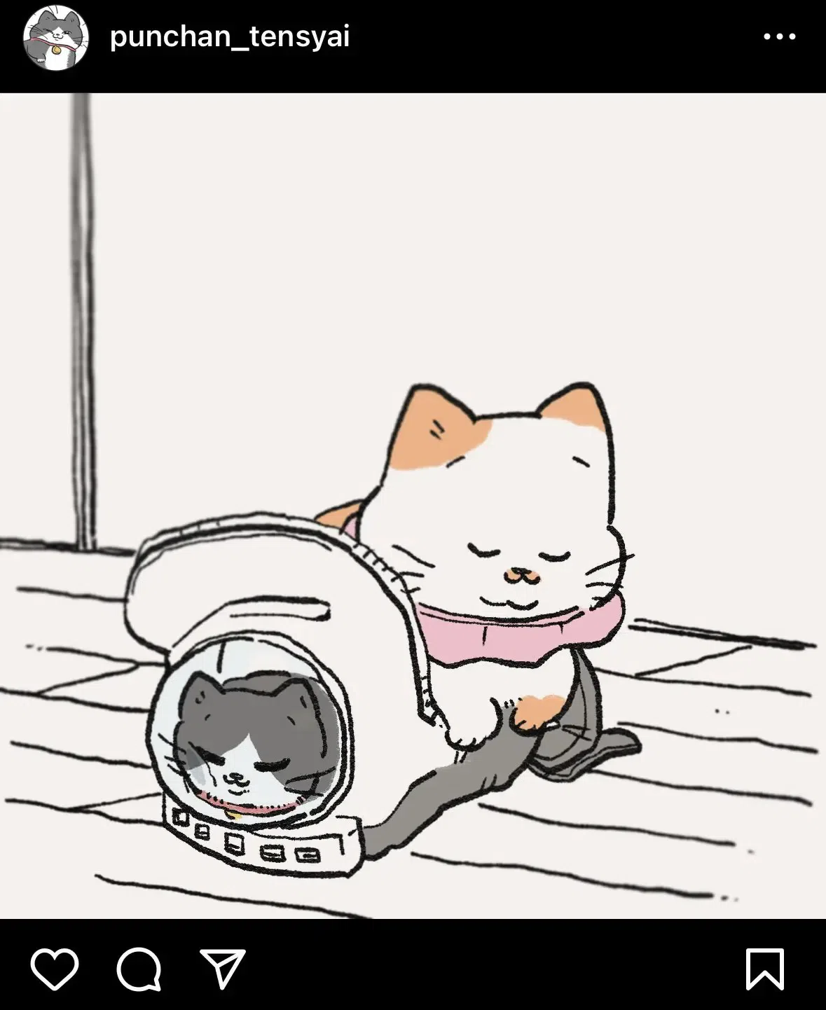 The Old Man Who Was Reincarnated As A Cat Chapter 413.5: President