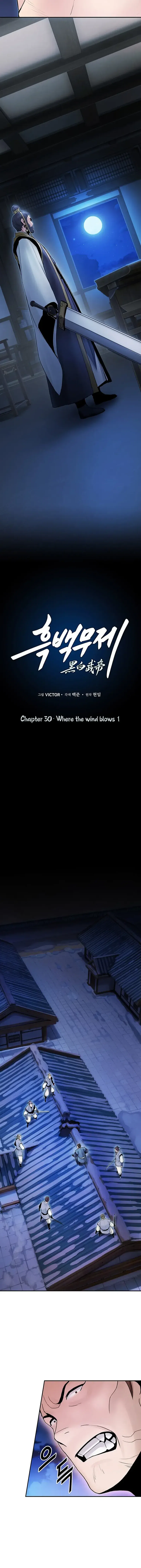 Dark and Light Martial Emperor chapter 30