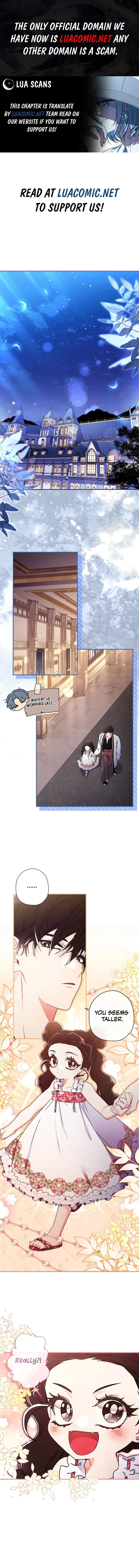 The Male Lead